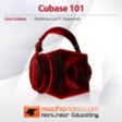 Icon of program: Cubase 101