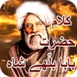 Icon of program: Baba Bulleh Shah