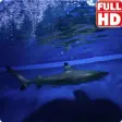Icon of program: Sharks Live Wallpaper HD