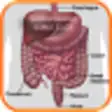 Icon of program: Gastrointestinal USMLE S2…