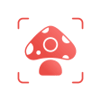 Icon of program: Picture Mushroom - Mushro…