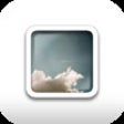 Icon of program: Redesign Photo