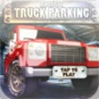 Icon of program: American truck 3D Driving