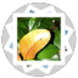 Icon of program: xPhoto Advanced Photo Rec…