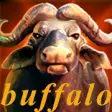 Icon of program: Buffalo Casino Free Slots…