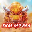 Icon of program: SKM M9 666