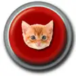 Icon of program: Cat Button Crazy Prank So…