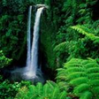 Icono de programa: Waterfall Wallpaper for W…