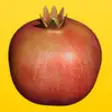 Icon of program: VR Pomegranate