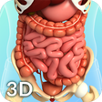 Icono de programa: Digestive System Anatomy …