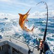 Icon of program: Fish Hunter Boat Simulato…