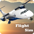 Icon of program: Flight Sim