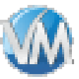 Icon of program: Store Manager for VirtueM…
