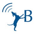 Icon of program: Bluetick RMC