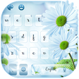 Icono de programa: Blooming Daisy Flower
