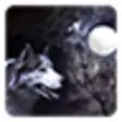 Icon of program: Wolf and Moon Live Wallpa…