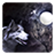 Icono de programa: Wolf and Moon Live Wallpa…