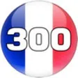 Icon of program: Learn Top 300 French Word…