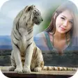 Icon of program: White tiger Photo Frame
