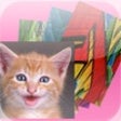 Icon of program: iWallpapers - HD Wallpape…