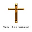 Icon of program: The Holy Bible Audiobook …