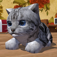 Icono de programa: Cute Pocket Cat 3D