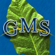 Icon of program: GMS for Windows 10
