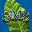Icon of program: GMS for Windows 10