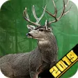 Icon of program: Deer Hunting Game Free Re…