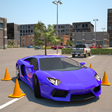 Icon of program: Driving School 3D Parking