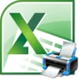 Icon of program: Excel Print Multiple File…