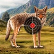 Icon of program: Coyote Target Shooting