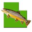 Icon of program: Utah Fishing