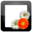 Icon of program: PhotoFrames Pro