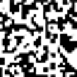 Icon of program: IsingCocoa
