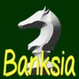 Icon of program: Banksia - Chess Master Da…