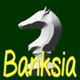 Banksia - Chess Master Database icon