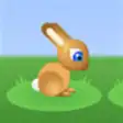 Icon of program: Bunny Hoop
