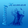 Icon of program: Human Anatomy Atlas for W…