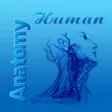 Icon of program: Human Anatomy Atlas for W…