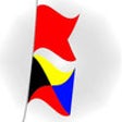 Signal Flags Info icon