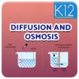 Icon of program: Diffusion and Osmosis