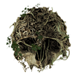 Icono de programa: The Forest