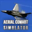 Icon of program: aerial combat simulator f…