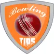 Icon of program: Cricket Bowling