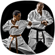 Karate Training icon