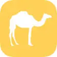 Icon of program: Where Camels Slowly Roam …