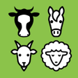 Icono de programa: VacApp - Cattle managemen…
