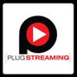 Icon of program: Plug Radio Online