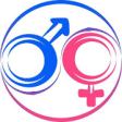 Icon of program: Masculine Feminine Nouns …